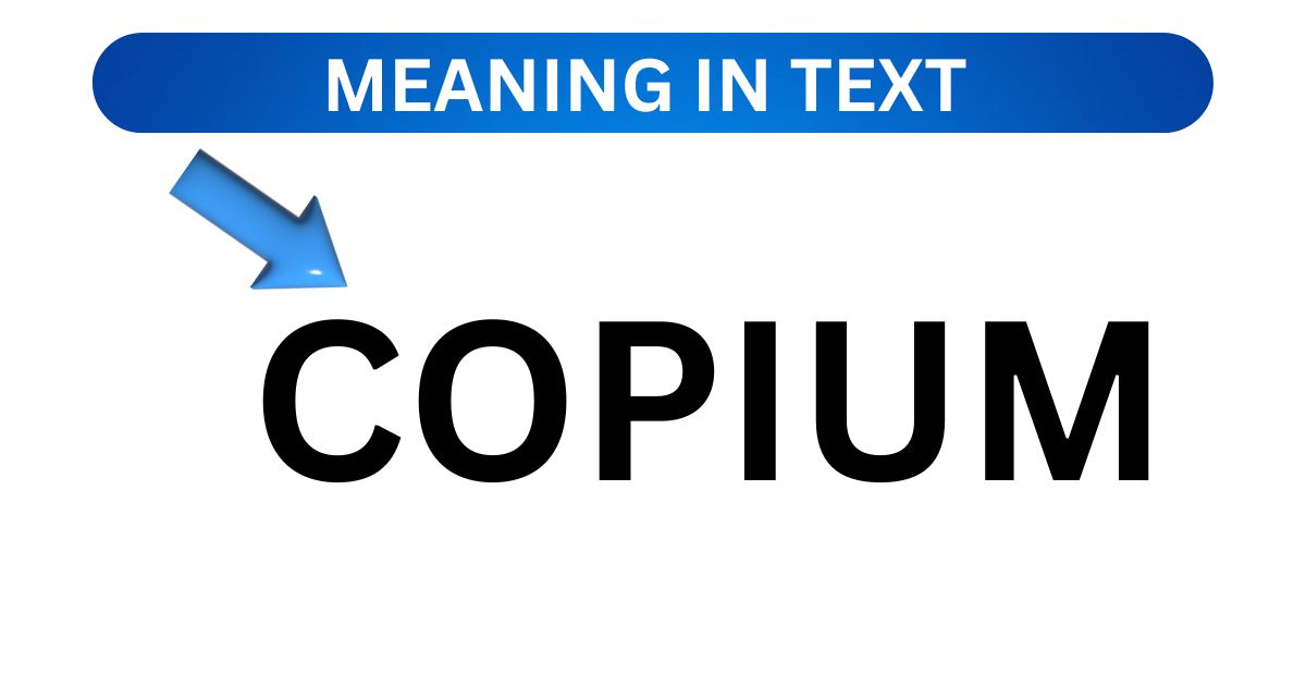 MEANING IN TEXT