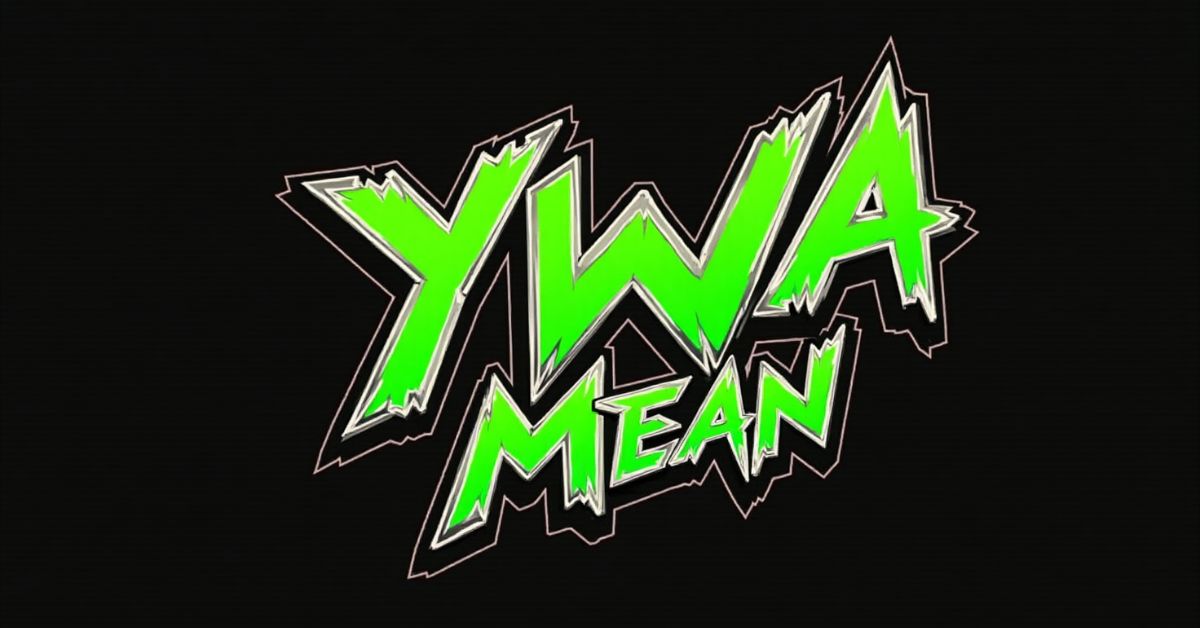 Understanding YWA Slang What Does YWA Mean and How to Use It